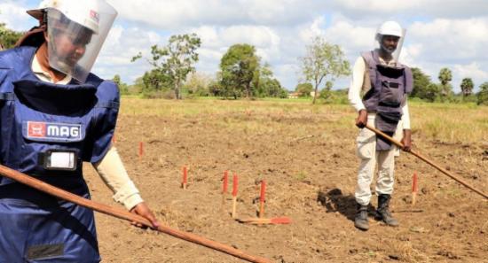 Landmine Clearance Accelerated In Former War Zones
